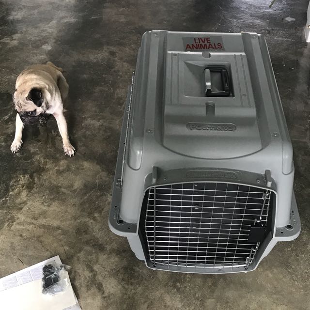 Petmare sky kennel ultra, Pet Supplies, Homes & Other Pet Accessories