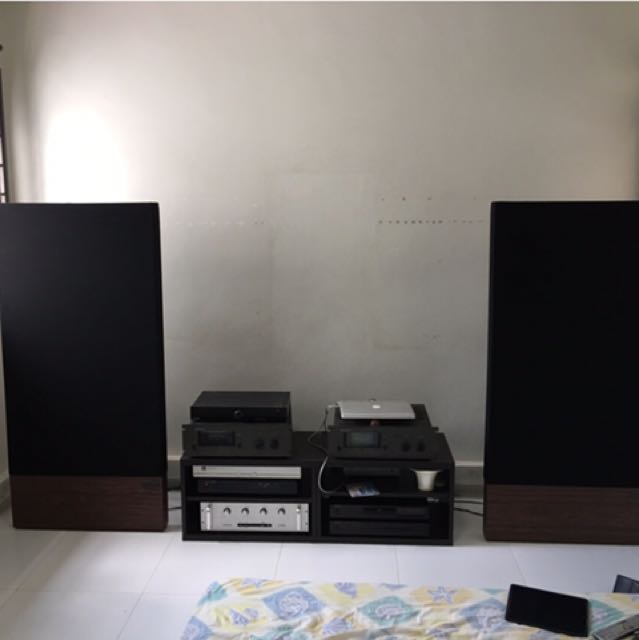 Acoustat Electrostatic Speaker, Audio, Soundbars, Speakers & Amplifiers ...