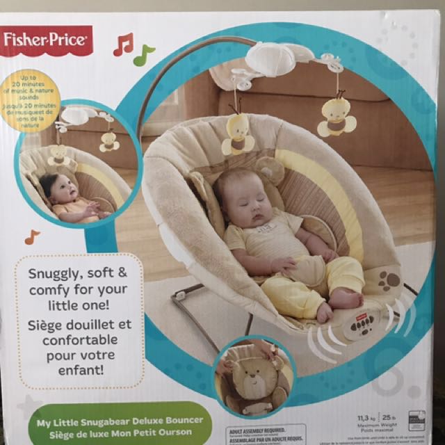 fisher price snugabear bouncer