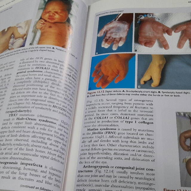 Langman's Medical Embryology (Category: Textbooks) located in Davao. Submitted by hubertjohn (Listing ID 126488634, Image 2). Description: .