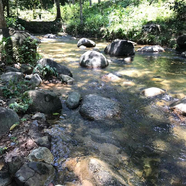 Tanah Lot Di Sedim Recreational Forest Kedah Property For Sale On Carousell