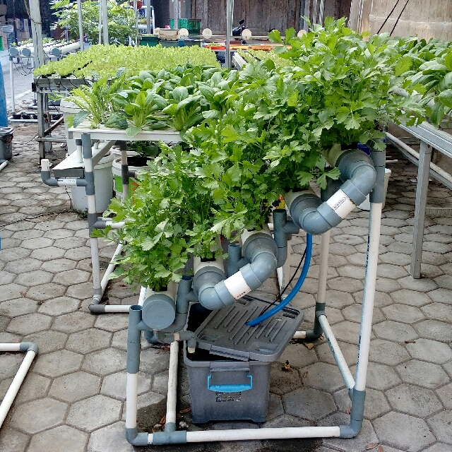 Paket Starterkit Hidroponik Gardening On Carousell