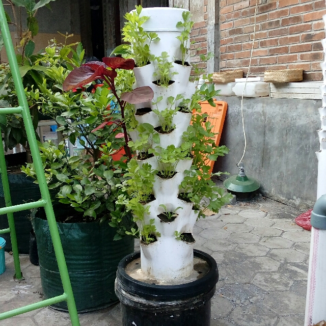 Paket Starterkit Hidroponik Gardening On Carousell