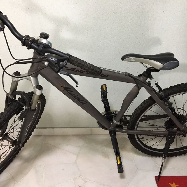 male mountain bike