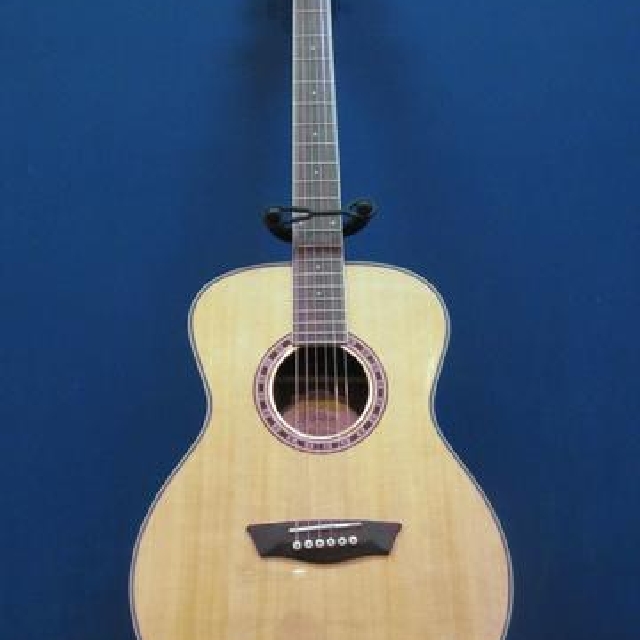 Washburn wf10s store