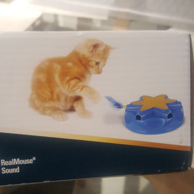Catty whack toy sale