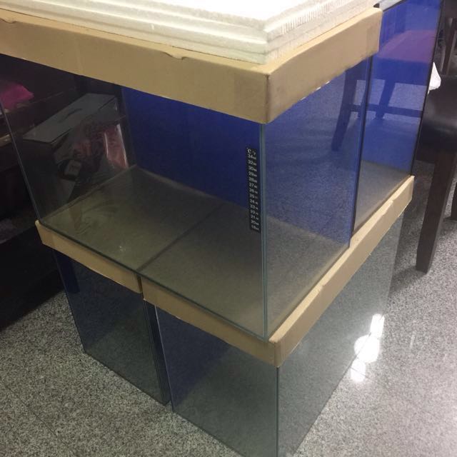 2ft X 1ft X 1.5ft Aquarium Tank (1 Tank left), Pet Supplies, Homes