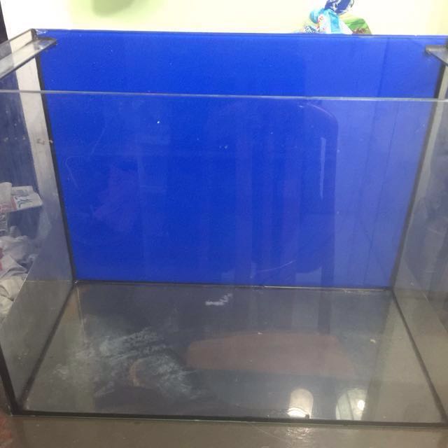 2ft X 1ft X 1.5ft Aquarium Tank (1 Tank left), Pet Supplies, Homes