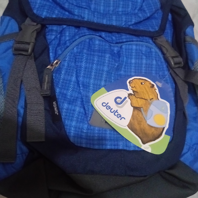 Deuter Backpack, Men's Fashion, Bags, Backpacks on Carousell