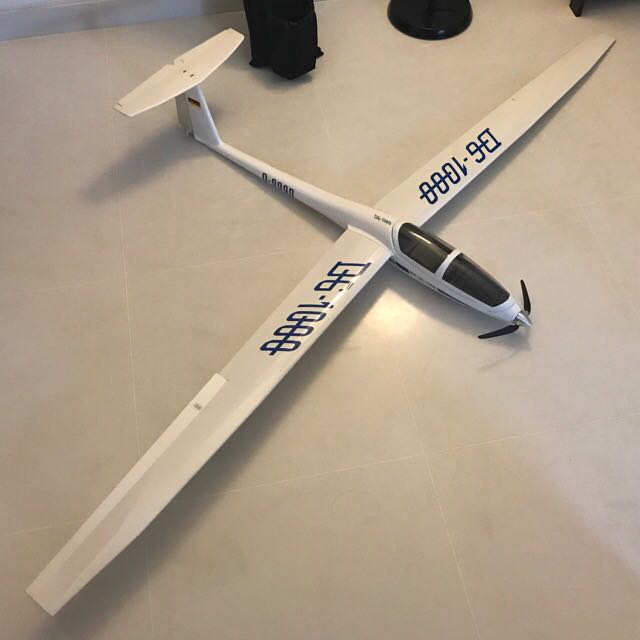 dg 1000 rc glider