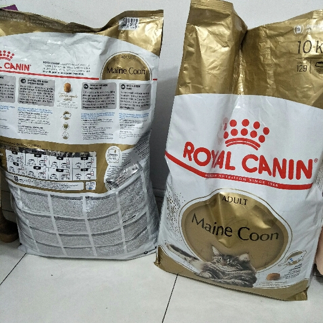 royal canin for mainecoon breed