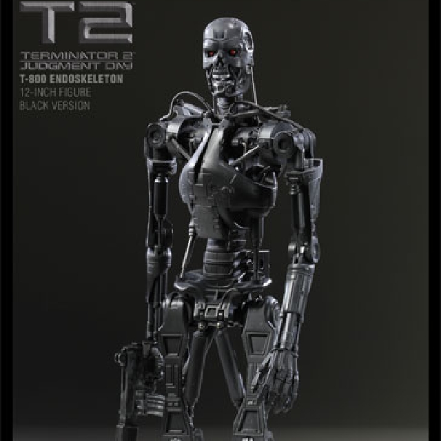 Aoshima Terminator T800 T700 Endoskeleton Black Version 1 6 Diecast 90 Metal Alloy Toy Figure Hot Item Toys Games Bricks Figurines On Carousell