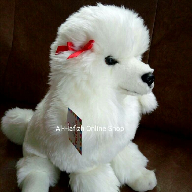 Kandang Anjing Harga Anjing Poodle Putih