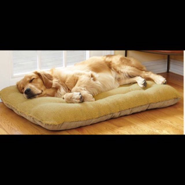XL Dog Bed For Huge Dogs on Carousell