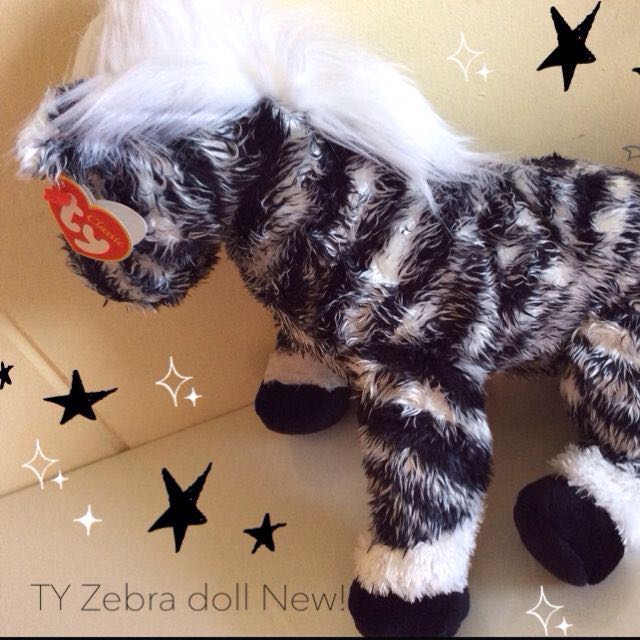 big zebra teddy