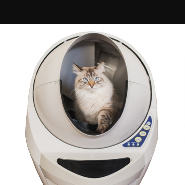 Litter Robot III Pet Supplies Homes Other Pet Accessories on Carousell