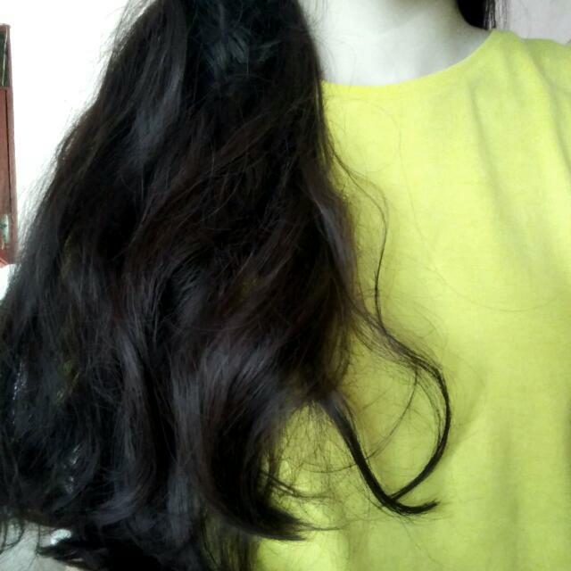 The Lux Label HAIRCLIP original Made in Korea