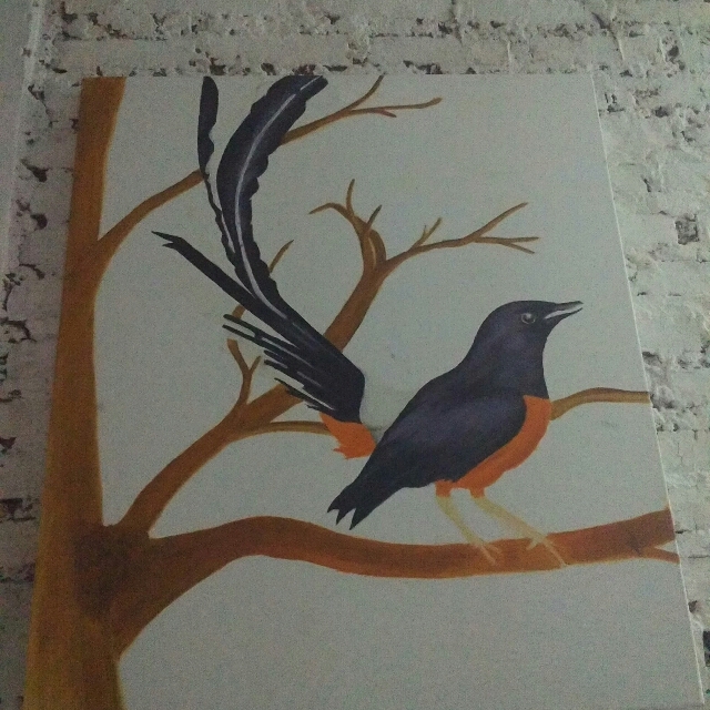 Gambar Kartun Burung  Murai  Batu  Gambar Kartun