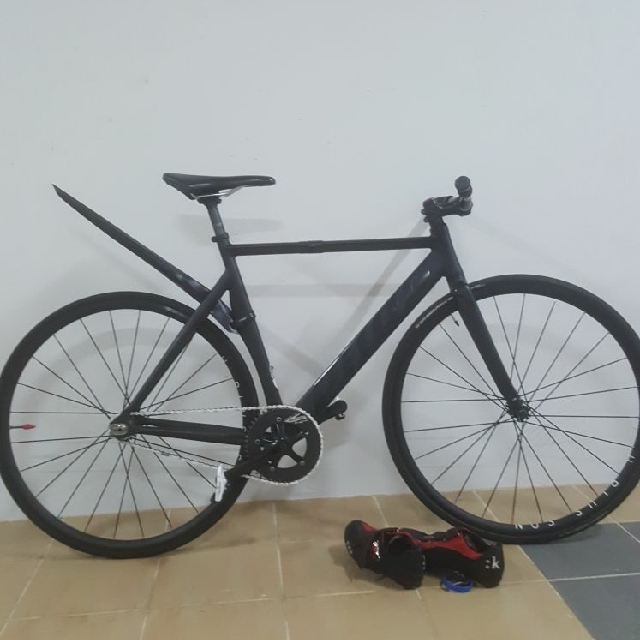 pure keirin