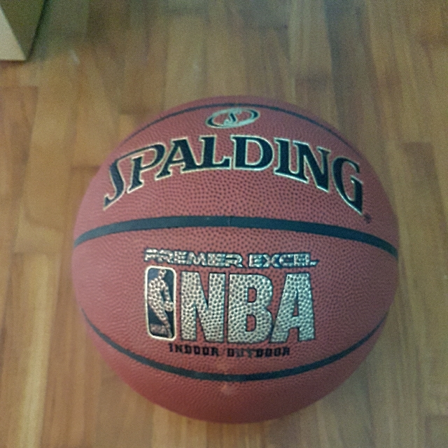 spalding premier excel