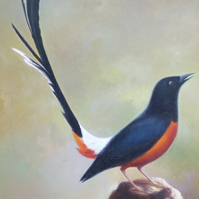  Lukisan  Burung Simple Cikimm com