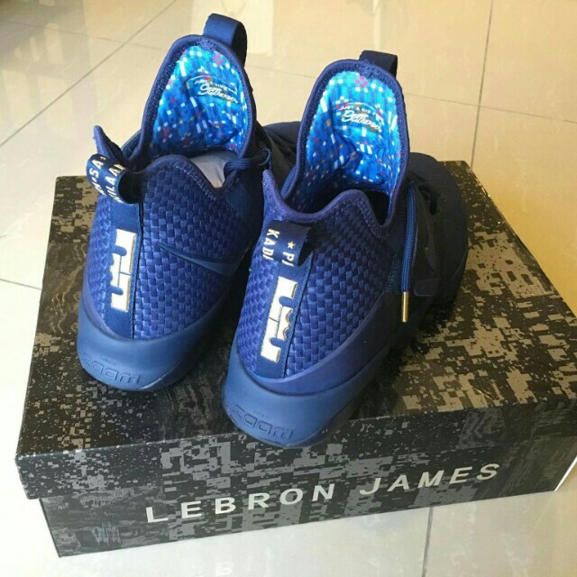 Nike Agimat Limited Edition Lebron James Men s Fashion Footwear