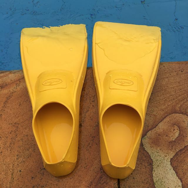 Fin Sepatu Kaki Kodok Ukuran 36 Olah Raga Baju Olahraga Di Carousell