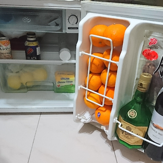48 ltr fridge