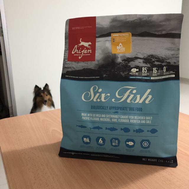 Orijen Six Fish Dry Dog Food 2kg New Package Pet Supplies On Carousell