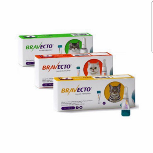 Bravecto Spot On Solution For Cats Flea And Tick Prevention And Treatment Pet Supplies On Carousell