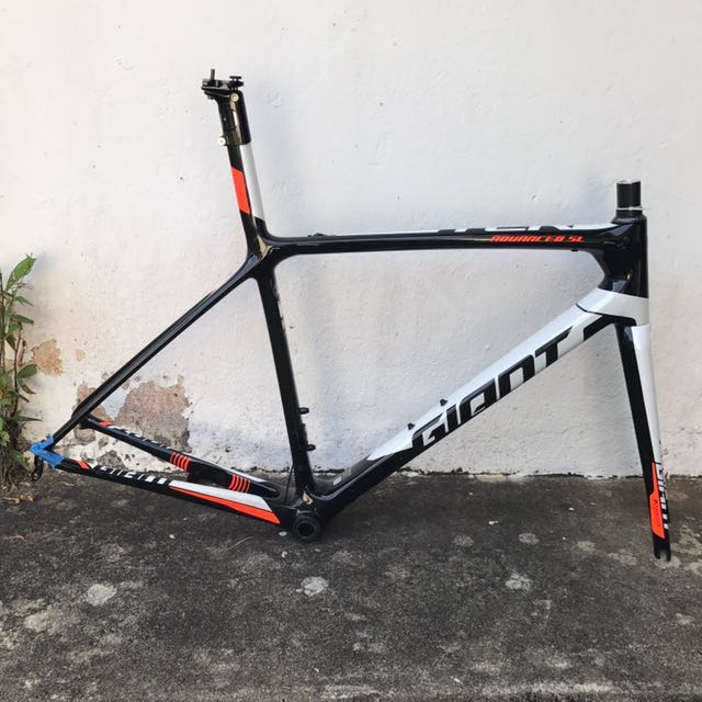 giant tcr m
