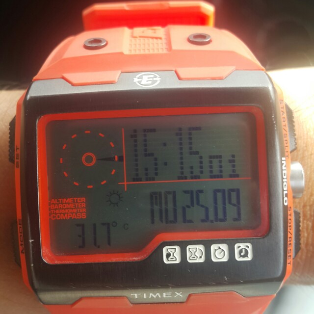 Timex on sale expedition ws