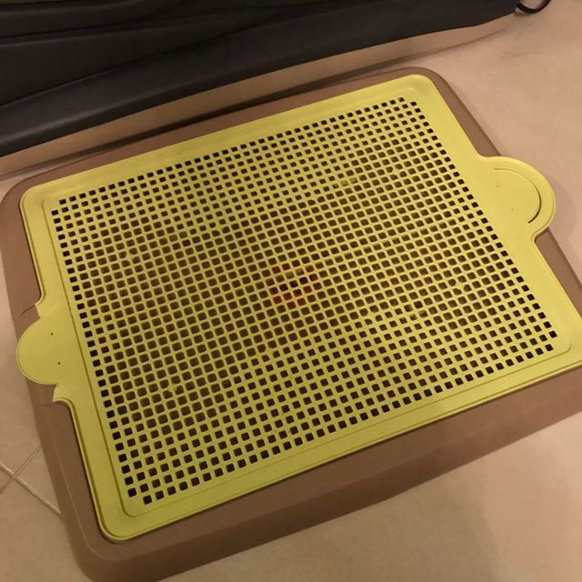 yogi pee tray