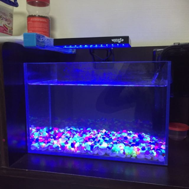 Fish tank (30X25X20), filter, LED light (2 Colours) and pebbles, Pet Supplies, Homes & Other Pet