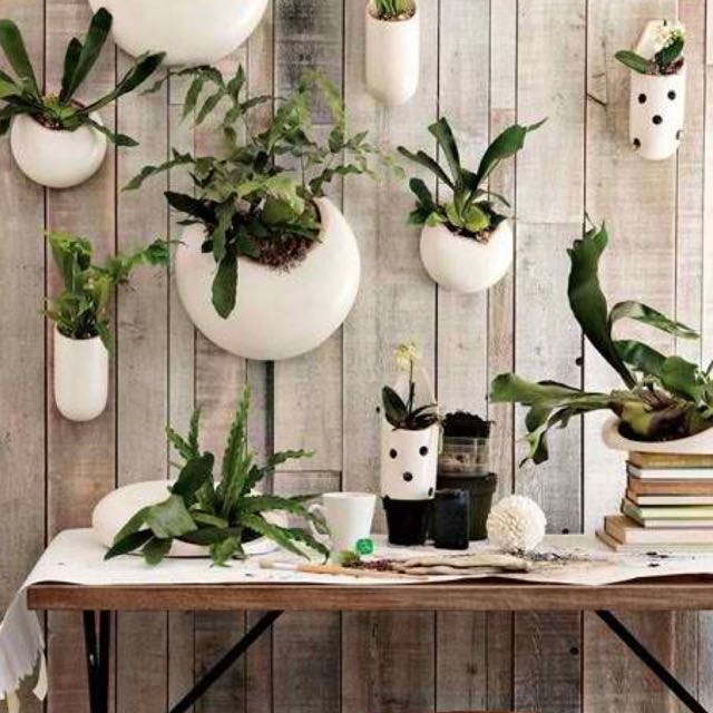 Yourstalkmarket White Hanging Flower Pot Ceramic Vase Wall Planter Gardening On Carou - Hanging Wall Vase Yourstalkmarket White Hanging Flower Pot Ceramic Vase Wall Planter Gardening On Carou - Hanging Wall Vase
