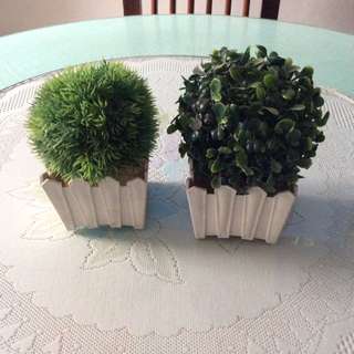 Brandnew Artificial/Plastic Decor/topiary