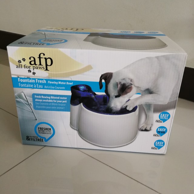 Afp pet water online fountain
