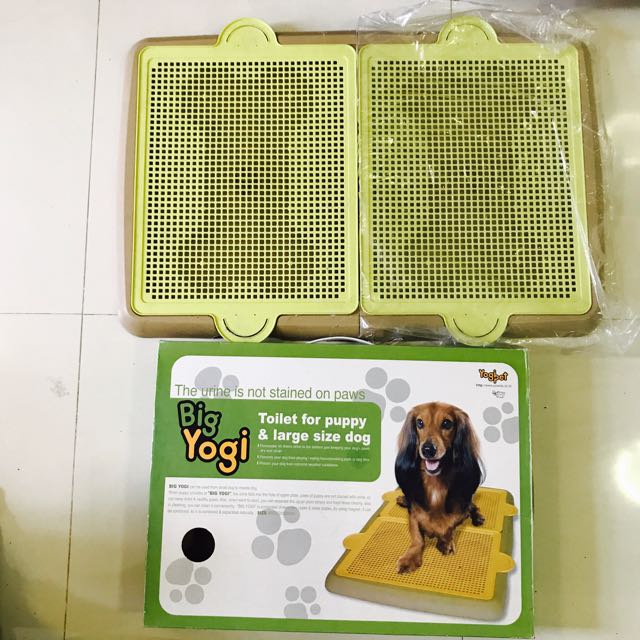 large pee tray