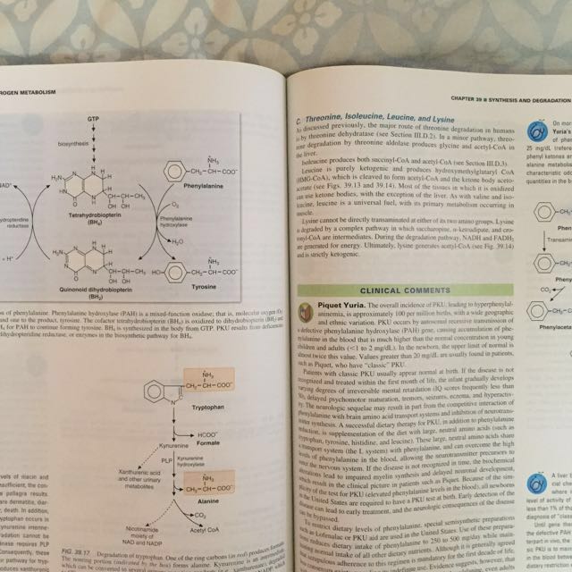 Marks' Basic Biochemistry (Category: Textbooks) located in Kuala Lumpur. Submitted by lelsells (Listing ID 128877625, Image 2). Description: Just like new! .