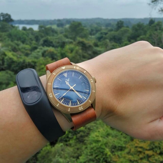 ventus mori brass diver