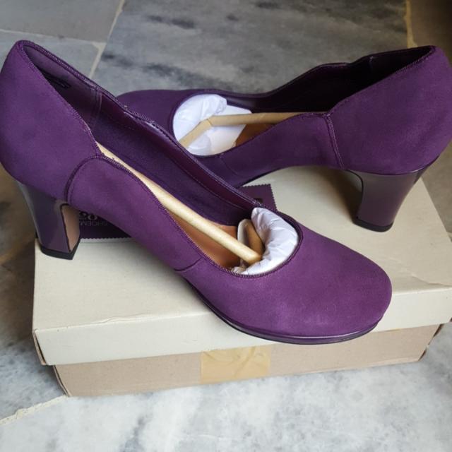 clarks chorus nights