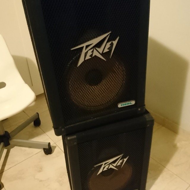 Peavey 110dl 2025