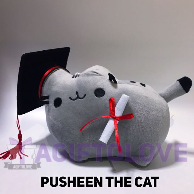 Graduation pusheen plush store