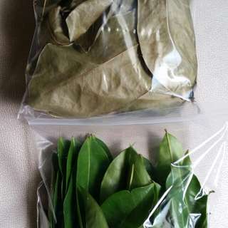 Dry / Fresh Soursop Leaves - 39 Leaves per pks