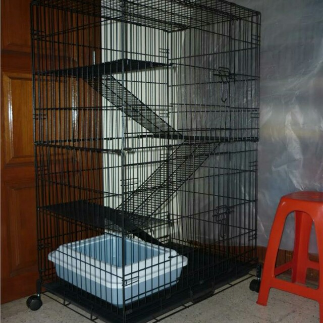 Sangkar Kucing 3 Tingkat Pet Supplies Pet Accessories On Carousell