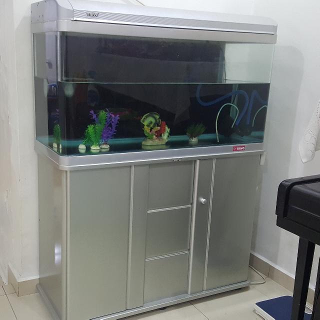 taiyo fish tank