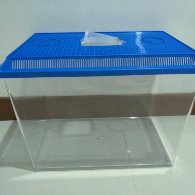 Plastic fish deals tank