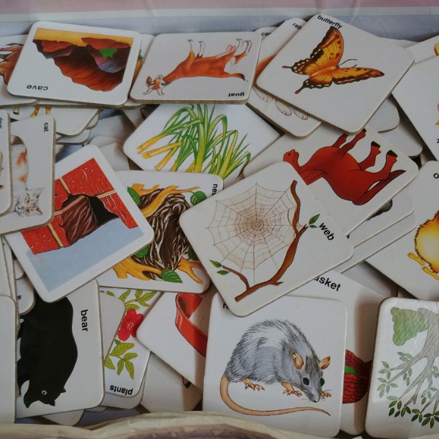 Give away Educational cards Everything Else on Carousell
