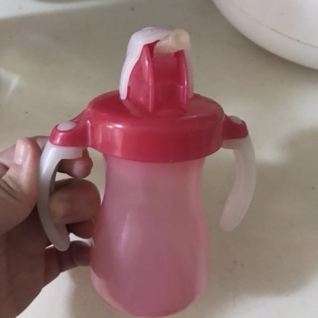 pigeon drinking bottle