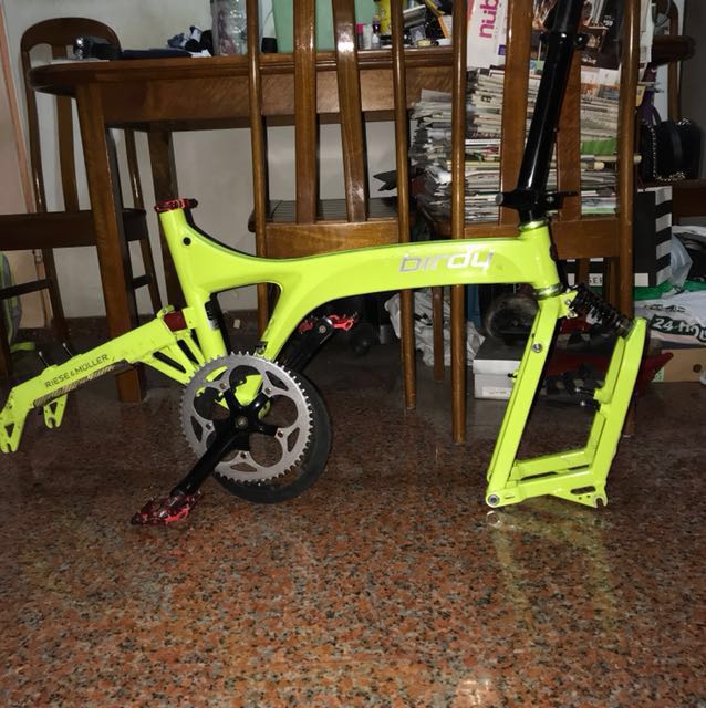 Birdy bike frame 2025